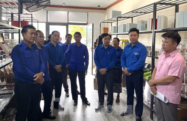 Đoàn đại biểu Đoàn Thanh niên 3 tỉnh nước bạn Lào chào xã giao lãnh đạo tỉnh Nghệ An ảnh 9