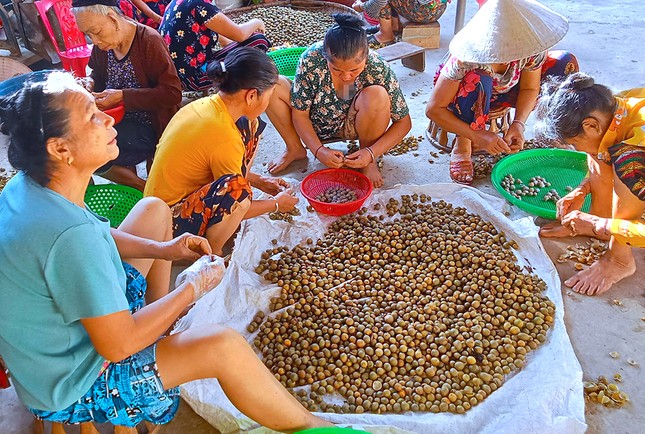 'Lộc trời' trong rừng giúp người dân huyện miền núi thoát nghèo ảnh 4
