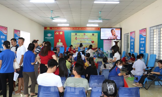 Thanh niên hiến máu tình nguyện, quyên góp ủng hộ trường học thiệt hại do lũ ảnh 6