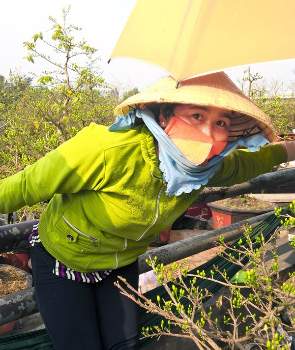 Độc đáo những chiếc thuyền hoa ở xóm vạn chài ngày cận tết ảnh 8