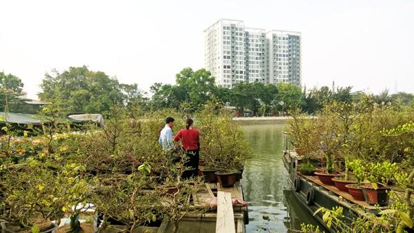 Độc đáo những chiếc thuyền hoa ở xóm vạn chài ngày cận tết ảnh 12