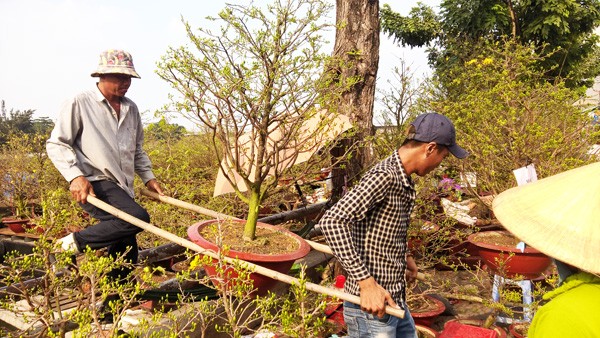 Độc đáo những chiếc thuyền hoa ở xóm vạn chài ngày cận tết ảnh 6