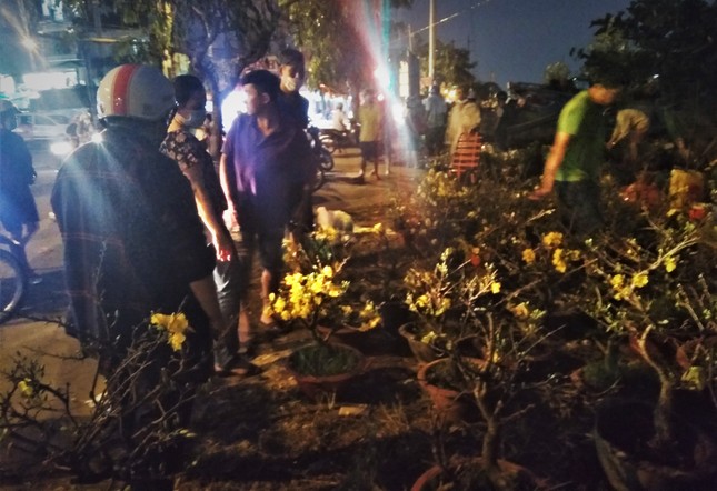 Đêm giao thừa người TPHCM soi đèn mua hoa Tết giải cứu nông dân ảnh 5