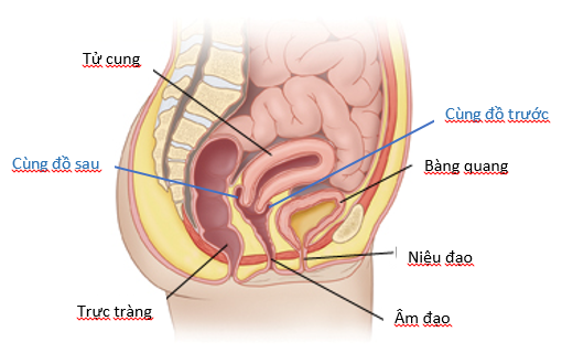 Người phụ nữ nguy kịch, phải thở máy sau khi quan hệ tình dục ảnh 1