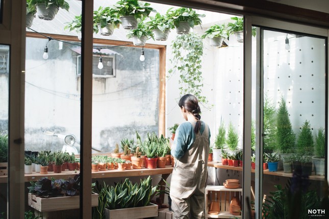 NOTH Garden - những người gieo mầm xanh trong lòng đô thị ảnh 3