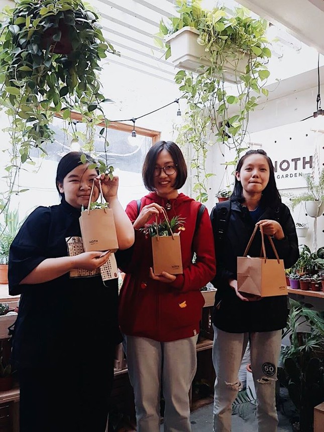 NOTH Garden - những người gieo mầm xanh trong lòng đô thị ảnh 4