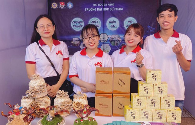 Trà hoa nấm của sinh viên ĐH Sư phạm Đà Nẵng ảnh 1