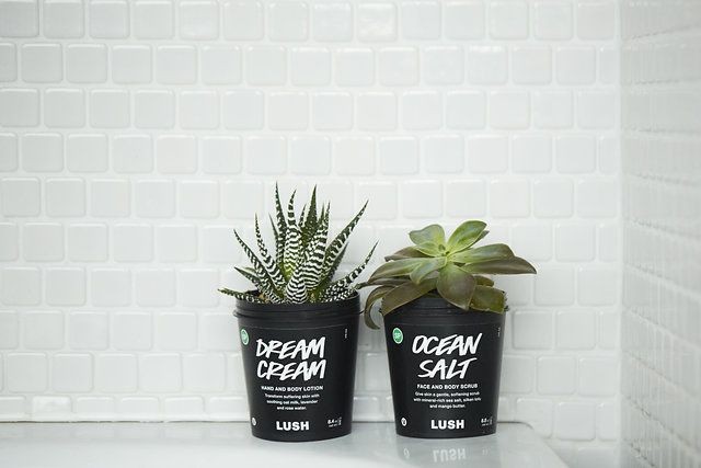 Các tín đồ mỹ phẩm phải làm sao để theo đuổi lối sống “plastic-free“ đang là hot trend? ảnh 5
