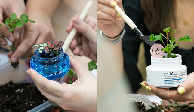 Các tín đồ mỹ phẩm phải làm sao để theo đuổi lối sống “plastic-free“ đang là hot trend? ảnh 4