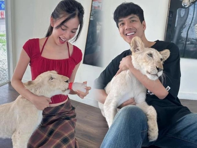 Tiểu Vy lên tiếng về thông tin đang yêu tài tử Thái Lan ảnh 1