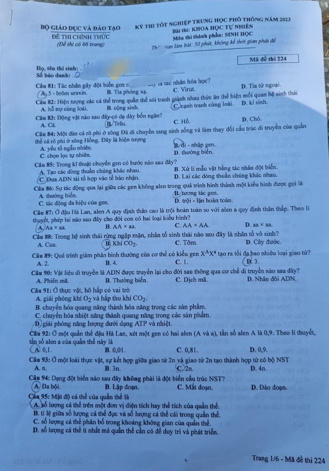 Thí sinh thi tổ hợp KHXH tươi cười, KHTN khó đạt điểm cao ảnh 18