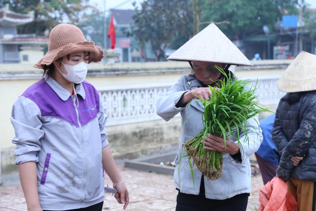 Phiên chợ bán lúa non hiếm có chỉ họp ít ngày rồi tự tan ảnh 2