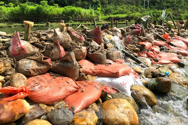 Thanh niên làm đập dẫn nước vào ruộng cho bà con vùng cao ảnh 10