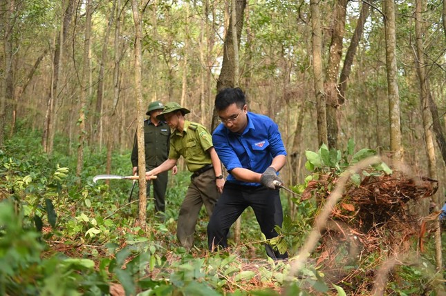 Hơn 8.000 đoàn viên, thanh niên Nghệ An ra quân cao điểm Chiến dịch Hành quân xanh ảnh 6