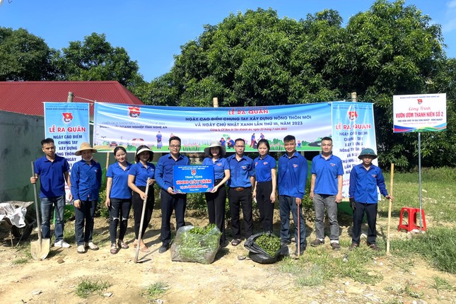 Hơn 10.000 đoàn viên thanh niên chung tay xây dựng nông thôn mới ảnh 11