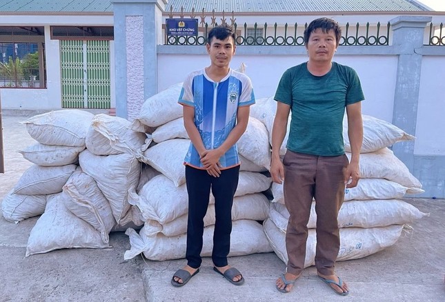 Phó Thủ tướng gửi Thư khen vụ bắt hơn 4,5 tấn gỗ trắc và vảy tê tê ảnh 2
