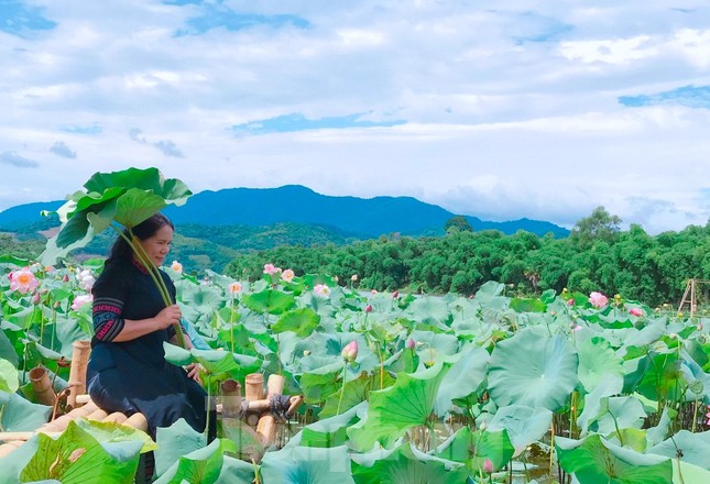 Đoàn viên thanh niên làm điểm check in đẹp như mơ bên đầm sen thơ mộng ảnh 1