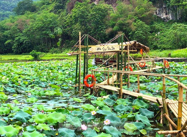 Đoàn viên thanh niên làm điểm check in đẹp như mơ bên đầm sen thơ mộng ảnh 7