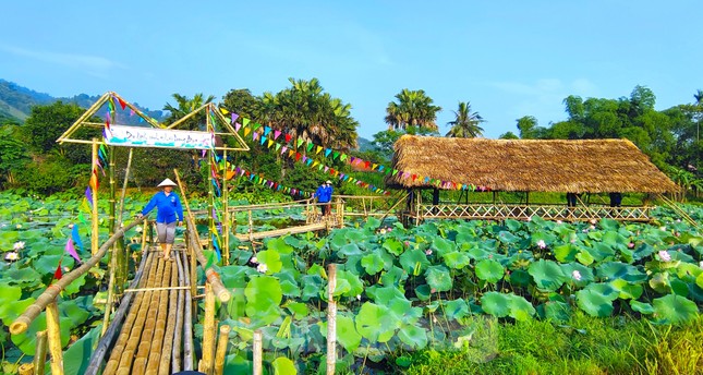 Đoàn viên thanh niên làm điểm check in đẹp như mơ bên đầm sen thơ mộng ảnh 5