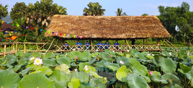 Đoàn viên thanh niên làm điểm check in đẹp như mơ bên đầm sen thơ mộng ảnh 9