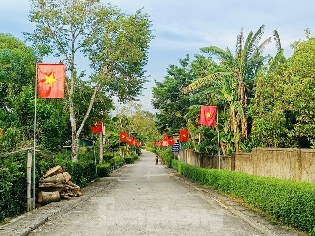 Những con đường miền quê rực rỡ sắc cờ dịp Quốc khánh ảnh 4
