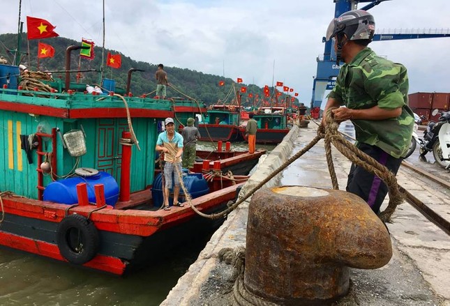 Bão số 4: Nghệ An ban hành lệnh cấm biển ảnh 1