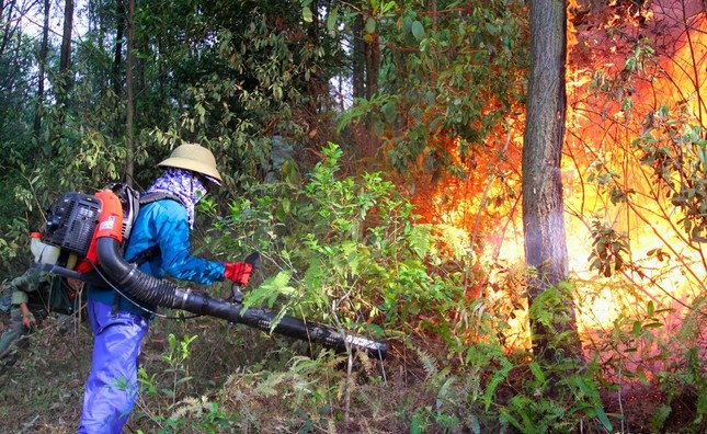 Hơn 1000 người đang căng mình dập đám cháy rừng lan rộng ở Nghệ An ảnh 3
