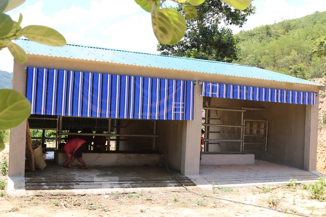 Chi tiết kỹ thuật và đơn giá của 67 chuồng bò 'hạng sang' tại Nghệ An ảnh 3