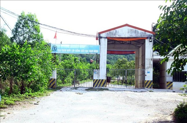 UBND tỉnh Nghệ An chỉ đạo xử lý ô nhiễm tại trại lợn Công ty Đại Thành Lộc ảnh 1