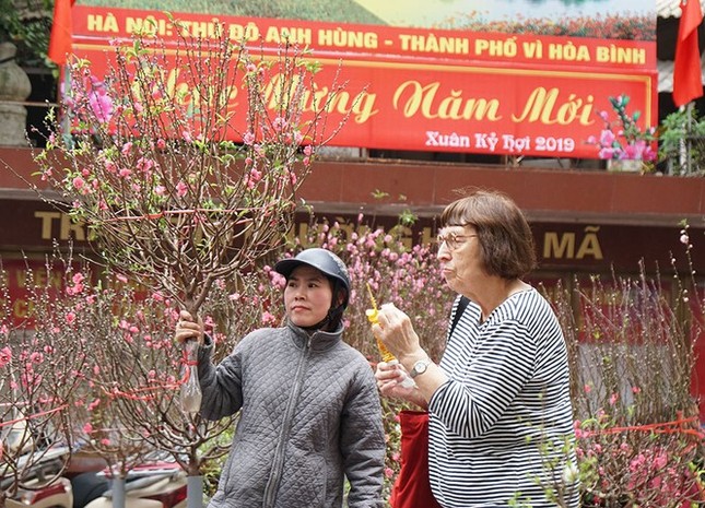 Chờ đón chợ hoa Tết Hàng Lược và không gian Bích họa Phùng Hưng ảnh 1