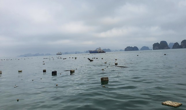 Rác phao xốp tràn lan trên vịnh Hạ Long: Cục Di sản văn hóa yêu cầu báo cáo ảnh 1