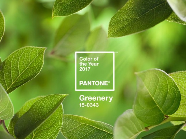 Xanh thiên nhiên là màu sắc chủ đạo của năm 2017 ảnh 1