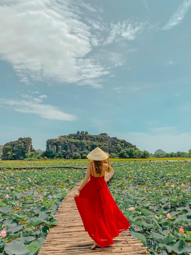 Đầm sen khoe sắc ở Hang Múa, giới trẻ nô nức đến 'check-in' ảnh 3