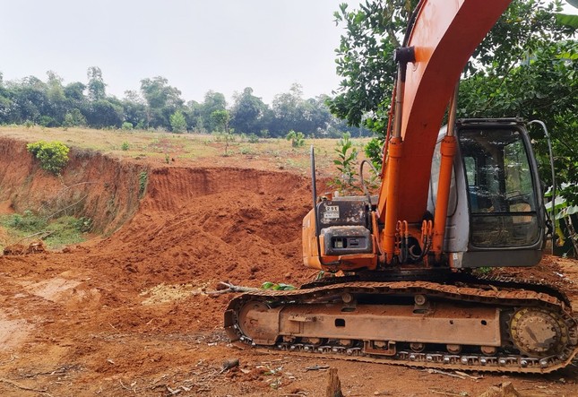 Hà Nội: Khẩn trương rà soát hiện trạng rừng và đất lâm nghiệp, xử lý nghiêm nếu vi phạm ảnh 1