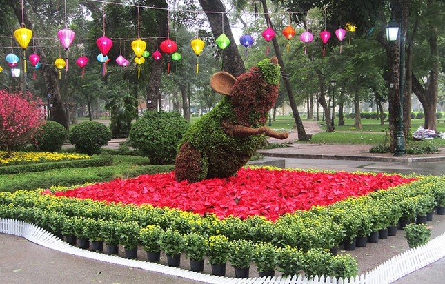 Độc đáo 12 con giáp bằng cây hoa nghệ thuật trong công viên Thống Nhất ảnh 5