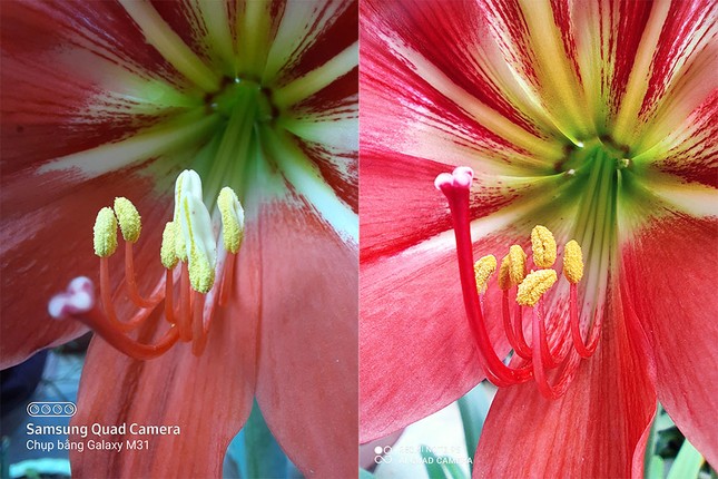 Redmi Note 9s vs. Galaxy M31: “Mãnh thú” nhà Xiaomi và Samsung khác nhau như thế nào? ảnh 20