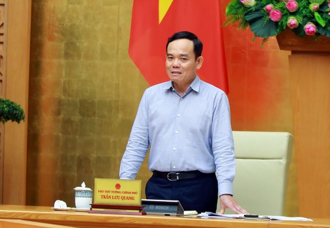 Phó Thủ tướng Trần Lưu Quang nhận thêm nhiệm vụ ảnh 1