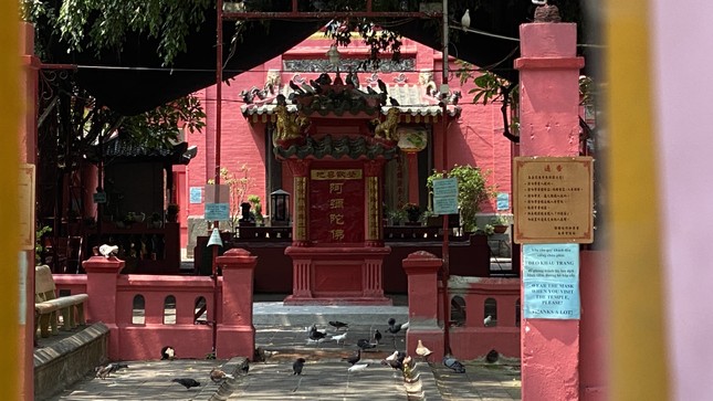 Chùa Phước Hải hay còn biết đến với tên gọi là chùa Ngọc Hoàng, ngôi chùa khá nổi tiếng ở TPHCM từ sau khi cựu Tổng thống Mỹ Obama đến thăm. Hiện nay ngôi chùa này cũng đã ngưng tiếp khách đến để phòng chống dịch COVID-19. 2