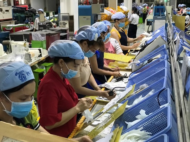 TPHCM đề xuất chính sách 'kép' cứu doanh nghiệp trong đại dịch COVID-19 ảnh 2