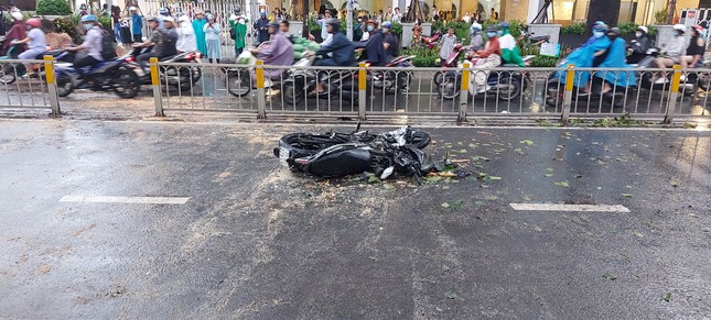 Người chết do cây ngã ở TPHCM, lộ nguyên nhân bất ngờ! ảnh 3