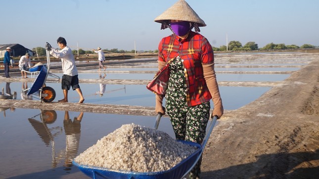 Cận cảnh 'nghề gieo nước biển' đầu năm ở phương Nam ảnh 10