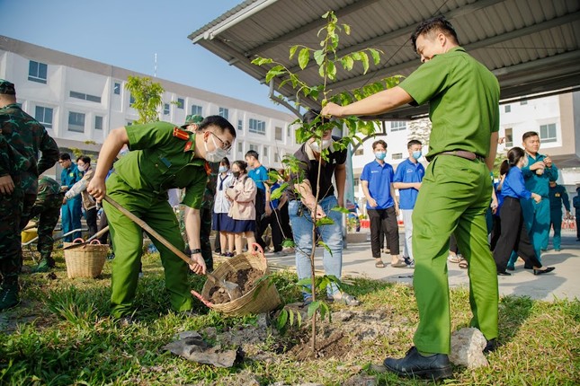 Thành Đoàn TP. HCM phát động ‘Tết trồng cây’ ảnh 6