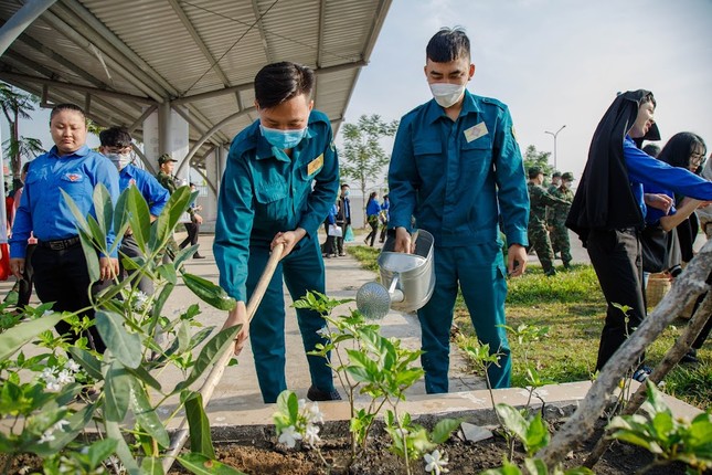 Thành Đoàn TP. HCM phát động ‘Tết trồng cây’ ảnh 5