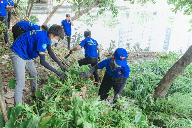 Đoàn viên, thanh niên TPHCM ra quân Chủ nhật xanh lần thứ 150 ảnh 2