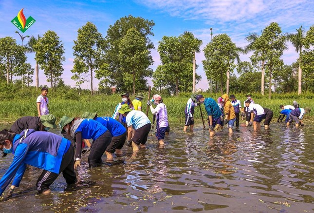 Hội Sinh viên ĐH Mở TP. HCM: Tập huấn chiến dịch “Mùa Hè Xanh" 2020 ảnh 6