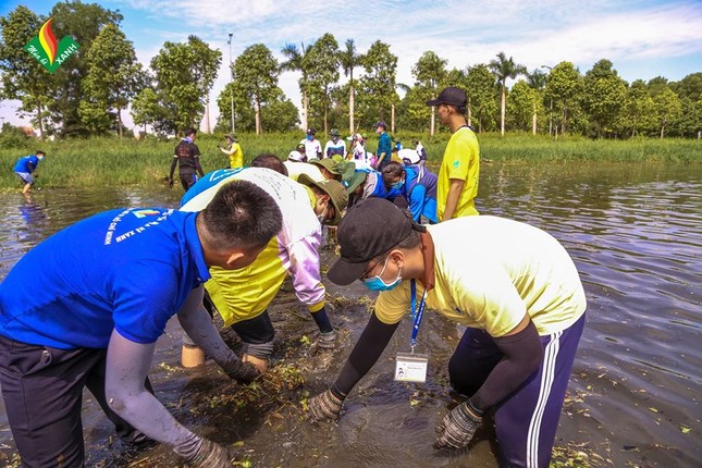 Hội Sinh viên ĐH Mở TP. HCM: Tập huấn chiến dịch “Mùa Hè Xanh" 2020 ảnh 9