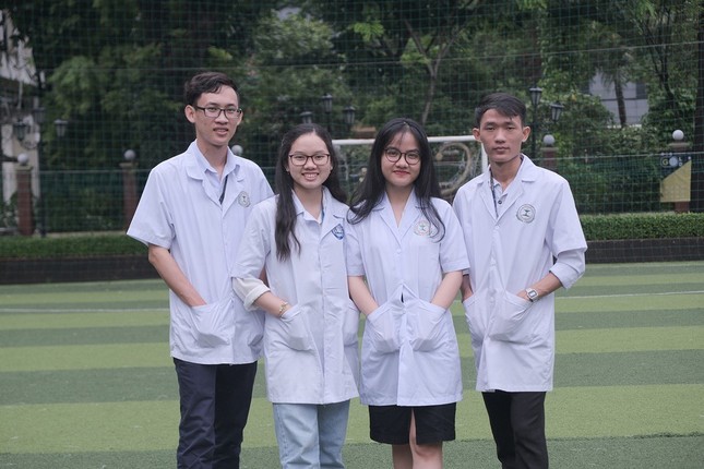 Chế viên nang giảm cân, hạ mỡ từ quả bưởi non ảnh 2
