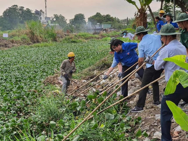 Gần 1.000 sinh viên hưởng ứng chương trình “Ngày Chủ Nhật Xanh” ảnh 2