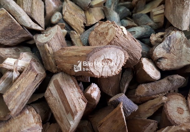 Người sống sót kể lại bữa tiệc rượu khiến 3 anh em tử vong ảnh 1