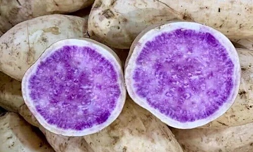 400.000 đồng một kg khoai lang vỏ trắng ruột tím ảnh 1